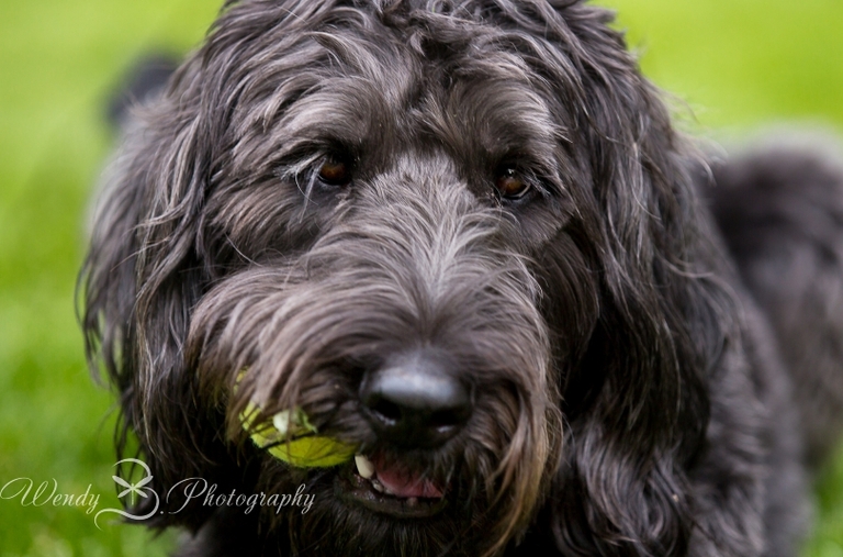 boulder_senior_pictures_family1004