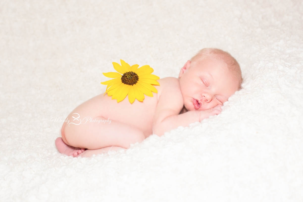 boulder newborn photographer